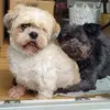 Ronny Prochnow - @ronny.prochnow - TikTok