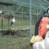 Ronald Prevost - @ronaldprevost - TikTok