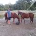 Ronald Quick - Facebook