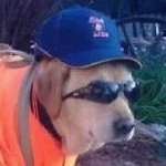 Ronald Walker Texas-Ranger - @taxi_ranger - Instagram