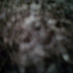 Ronald Rayner - @ronald_rayner - Instagram
