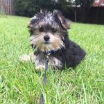 Ronald Reaves - @reavesdrivertraining - Instagram