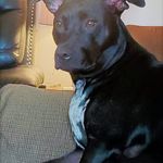 Ronald Reaves - @reavesronald - Instagram