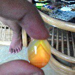 ronald ree bengkulu gemstone - @ronaldreebengkulugemstone - Instagram