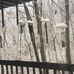Ron Remmers - Facebook