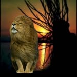 Ronald roots - @ronald.roots - Instagram