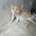 Ronald Ruel - Facebook