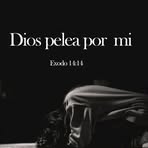 Ronald Saul Sequeira Tinoco - Facebook