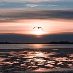 Ronald Schauer - @ronaldschauer - Instagram