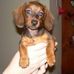 Ronald Schenk - Facebook