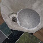 Ronald Schöller - @ronald.scholler - Instagram