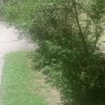 Ronald Schuster - @ronaldschus - Instagram