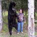 Ronald Semple - Facebook