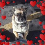 Ronald Severson - Facebook