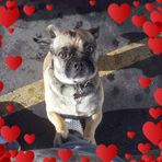 Ronald Severson - Facebook