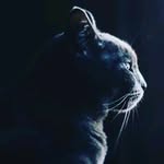 ronald - @ronald_simbolon2 - Instagram