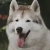 Ronald Sim - @onald00 - TikTok