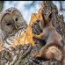 Ronald Simard - Facebook