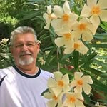 Ronald Simmons - @wiyovic854 - Instagram