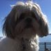 Ron Smock - Facebook