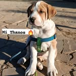 Ronald Caero Soria - @ronald.soria.10888 - Instagram