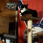 Ronald Sowell - @ronald.sowell.33 - Instagram