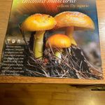 John Ronald Stackowitz - @johnronaldstackowitz - Instagram