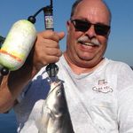 Ron - @ronalds_tackle_shop - Instagram