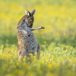 @ronald_stack - Instagram
