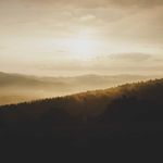 Ronald Stanton - @ronaldstantonnjp - Instagram