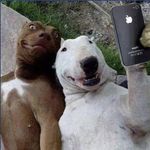 Ronald St Clair - @ronaldstc - Instagram