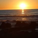 Ronald Steedsman - @steedsmanronald - Instagram