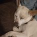 Ronald Stegall - Facebook