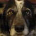 Ronald Stegall - Facebook