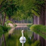 Ronald Stier - @stierronald - Instagram