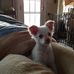 Ronald Stine - Facebook
