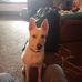 Ronald Stoddard - Facebook
