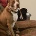 Ron Strang - Facebook
