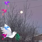 Ronald Strang - @ronald.strang.9 - Instagram