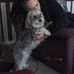 Ron Stringfellow - Facebook