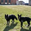 Ron Struble - @ron.struble - TikTok