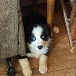 Ronald Stump - Facebook