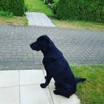 Fenna - @ronald.sylvia - Instagram