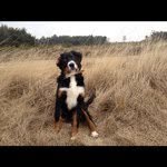 @ronaldtaal - Instagram