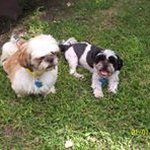 Ronald Tallman - @weeser2007 - Instagram