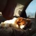 Ronald Tallman - Facebook