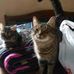 Ronald Taylor - Facebook
