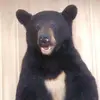 Ronald Teed148 - @ronaldteed148 - TikTok