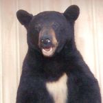 Ronald Teed - @ronald.teed - Instagram