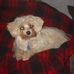 Ronald Terrill - Facebook